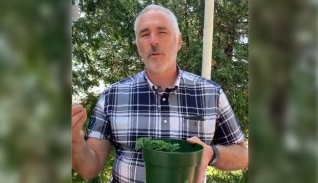 Vidéo - Explication du contrôle de l' herbe a poux par Groupe Arbo-Ressources Inc.